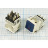 ПКн\250\ 3\(DPDT)\17x17\бел\синILкрСД3В\\8C\KD2-22