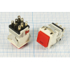 ПКн\250\ 3\DPDT\17x17\бел\кр&ILкрСД3В\\8C\KD2-21\