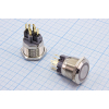 ПКн\250\ 5\(NC)&(NO)\d22\\мет&ILжел\AV\6C\GQ22-11E